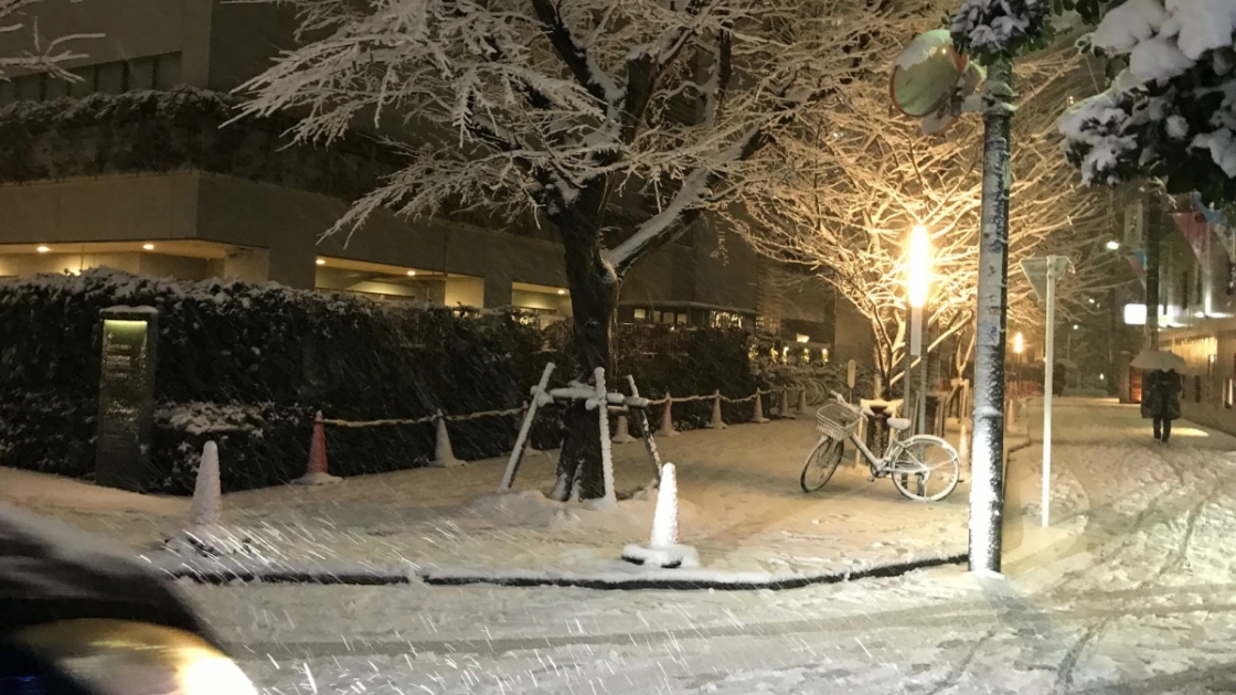 渋谷区総合文化センター大和田もすっかり雪景色