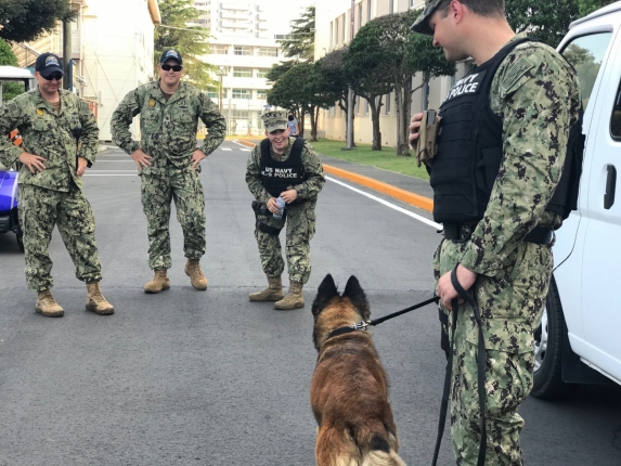 軍用犬と女性隊員