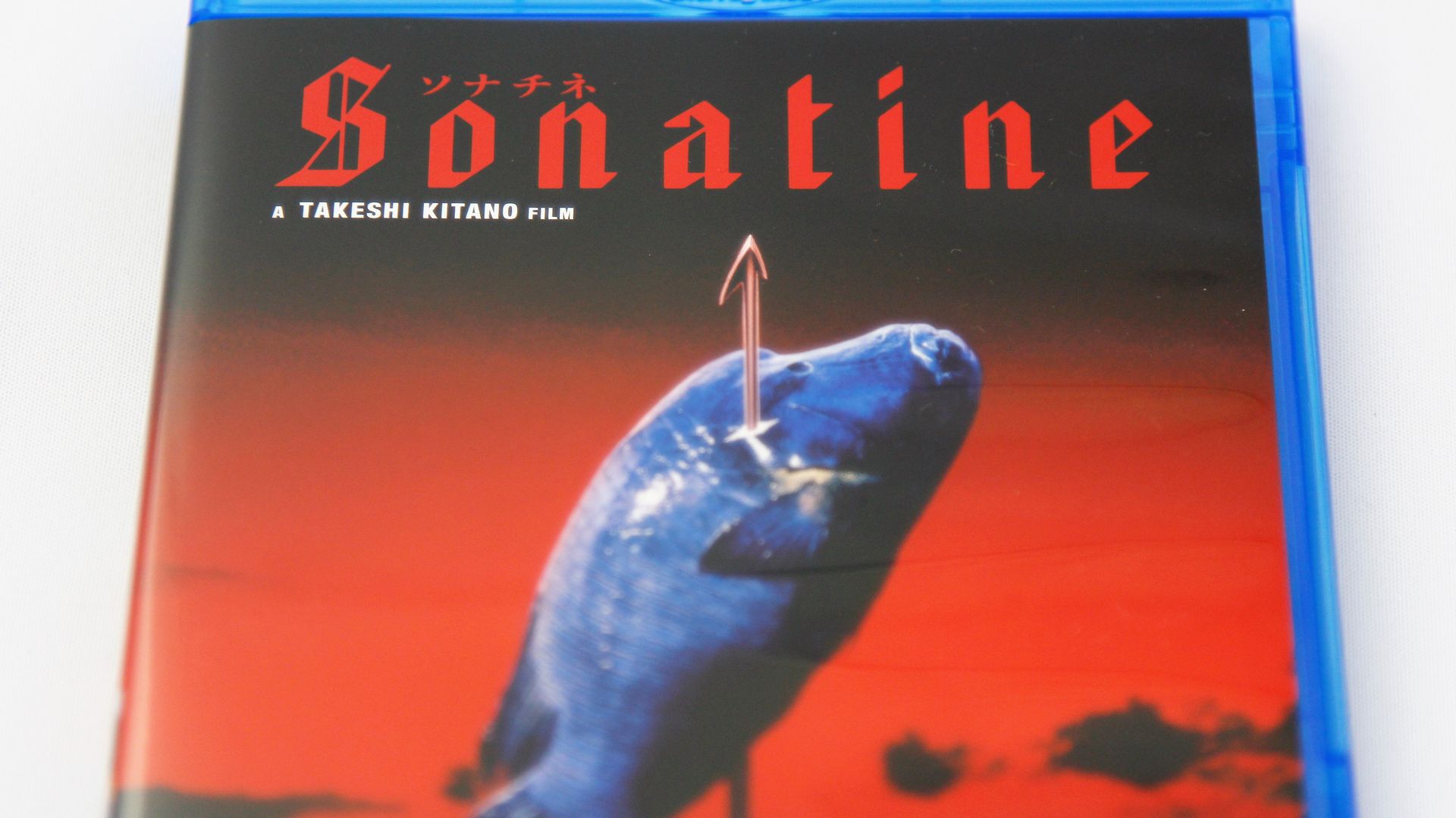 46c216f786afee1547a74b0c9d7209